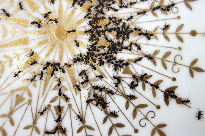 Фарфоровая посуда с изображением муравьев Evelyn Bracklow