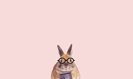 «Уши кролика» (The rabbit ears) Дилока Лэка (Dilok Lak)