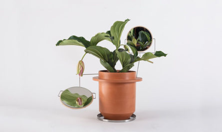 «Phytophiler» - набор аксессуаров для растения студии дизайна Dossofiorito