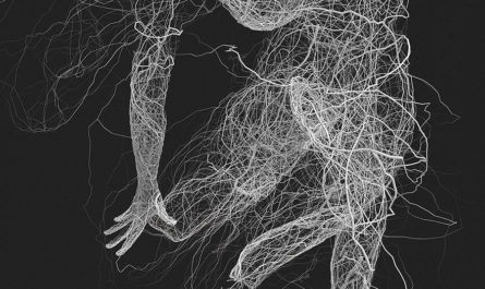 3D-визуализации человеческих тел Janusz Jurek