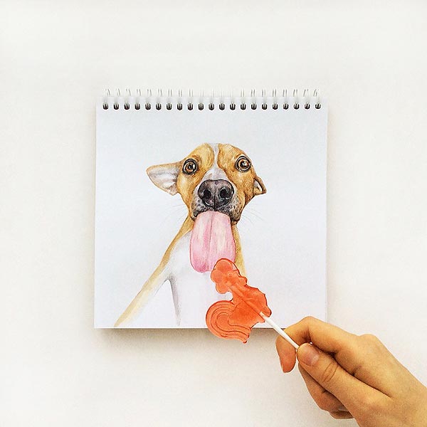 Человек собаке друг : рисунки Valerie Susik