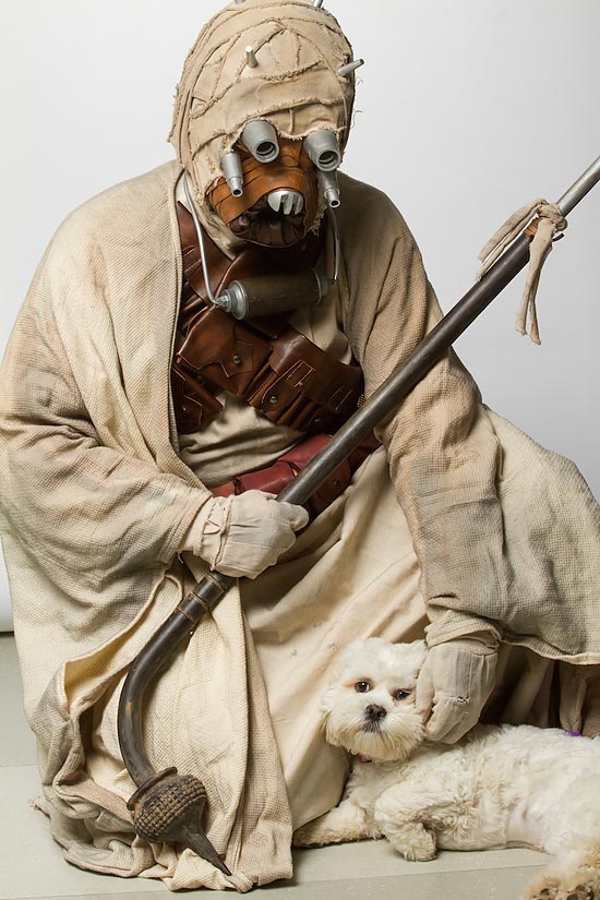 Фанаты-косплееры Star Wars провели фотосессию с животными из приюта Оттавы