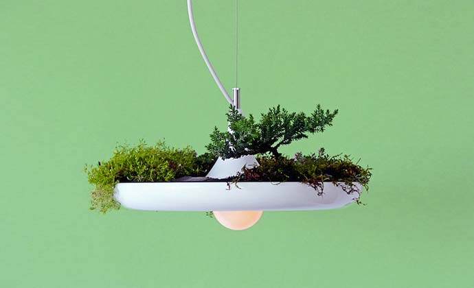 Лампа-цветник канадской студии дизайна Object Interface