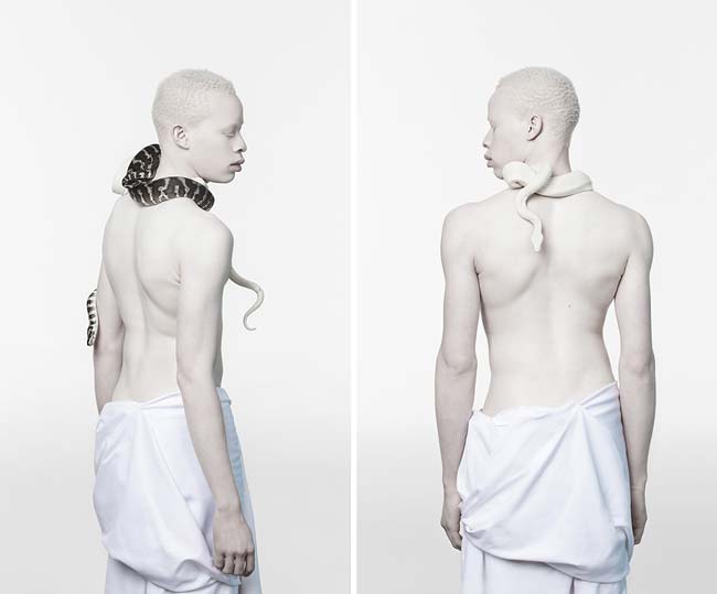 «Albus». Фотографии альбиносов Justin Dingwall