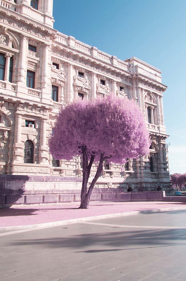 Инфракрасный Рим на фотографиях Milan Racmolnar