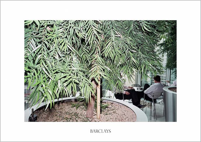 Офисные растения в проекте «Plants» фотографа Polly Brown