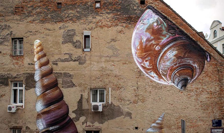 «Xenophora» : Моллюски ксенофоры на улицах Загреба