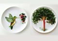 Картины на тарелке из овощей и фруктов – кулинарное искусство Lauren Purnell