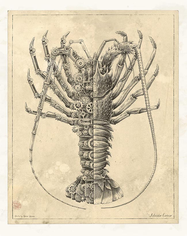 Из серии «Mechanical / Biological [Crustacean Study]» художника Steeven Salvat