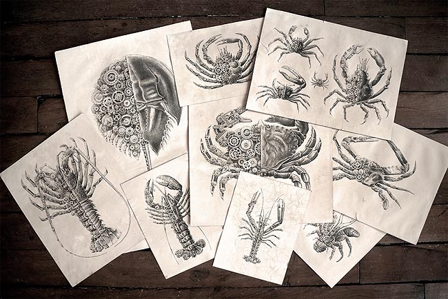 Из серии «Mechanical / Biological [Crustacean Study]» художника Steeven Salvat