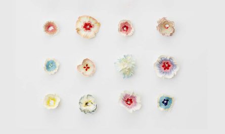 Карандашные наброски : Бумажные цветы Haruka Misawa