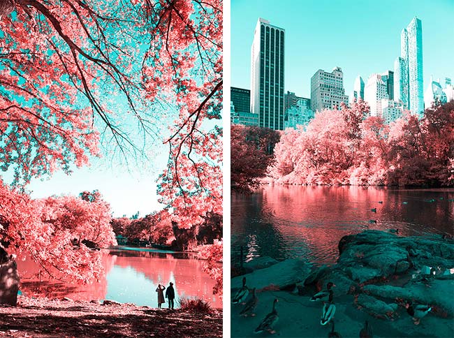 ИК-фотографии Центрального парка Нью-Йорка Paolo Pettigiani