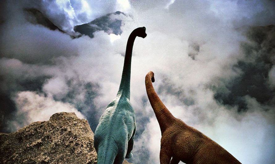 Прогулка с динозаврами : Фотографии Jorge Saenz
