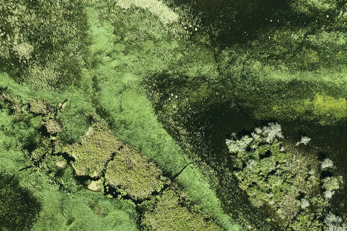 Фотографии животного и растительного мира Ботсваны с воздуха Zack Seckler