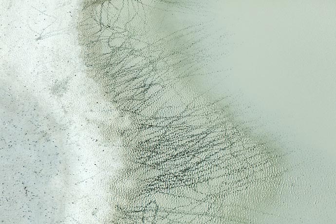 Фотографии животного и растительного мира Ботсваны с воздуха Zack Seckler