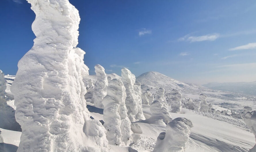 «Снежные монстры» на склонах Хаккода : Фотографии Sho Shibata